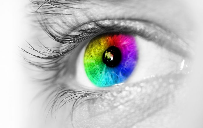 tetracromatismo archivos Vista Oftalmólogos Safe & Visible